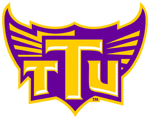 Tennessee Tech Golden Eagles 2006-Pres Alternate Logo v8 diy DTF decal sticker